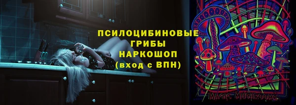 спайс Богданович
