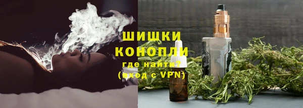 спайс Богданович